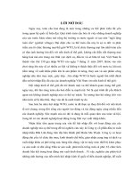 BIỆN PHÁP THÚC ĐẨY XUẤT KHẨU CÀ PHÊ CỦA CÔNG TY CỔ PHẦN ĐẦU TƯ XUẤT NHẬP KHẨU ĐĂK LĂK