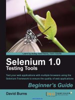 selenium 1.0 testing tools