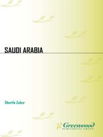 saudi arabia (middle east in focus)