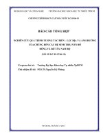 Nghiên cứu quá trình tương tác biển lục địa và ảnh hưởng của chúng đến các hệ sinh thái ven bờ đông và bờ tây nam bộ