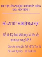 slide trình bày kỹ thuật khắc phục lỗi multicast trong mpls