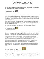 CÁC MÓN GỎI NAM BỘ