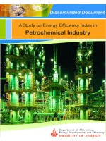 sec petrochemical eng