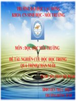 MÔN ĐỘC HỌC MÔI TRƯỜNG ĐỀ TÀI NGHIÊN CỨU ĐỘC HỌC TRONG QUÁ TRÌNH CHĂN NUÔI