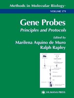 gene probes, principles and protocols