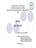 BÁO CÁO ĐỘC HỌC MÔI TRƯỜNG ĐỀ TÀI DỆT NHỘM