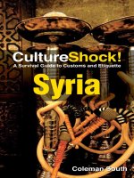 culture shock! syria