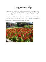 Làng hoa Gò Vấp doc