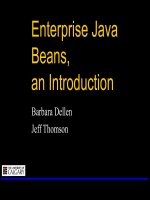 Enterprise Java Beans