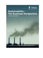 Sustainability: The Business Perspective docx