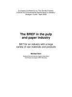 The BREF in the pulp and paper industry pot
