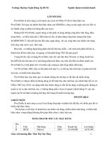 Luận văn Tin học pdf