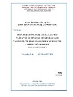 Hoàn thiện công nghệ, chế tạo, lắp ráp và đưa vào sử dụng dây chuyền làm sạch và sơn kết cấu tổng quan đoạn phục vụ đóng tàu chở dầu thô 100 000 t