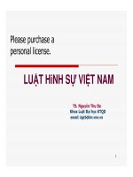 Luật hình sự Việt Nam docx