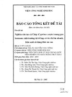 Nghiên cứu tạo cá chép (cyprinus carpio) mang gen hormone sinh trưởng tái tổ hợp có tốc độ lớn nhanh, hiệu suất sử dụng thức ăn cao