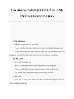 Tìm hiểu bài TAM ĐẠI CON GÀ NHƯNG NÓ PHẢI BẰNG HAI MÀY pptx