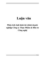 luận văn:phân tích tình hình tài chính doanh nghiệp công ty thực phẩm và đầu tư công nghệ