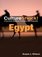 culture shock! egypt