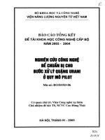 Nghiên cứu công nghệ để chuẩn bị cho bước xử lý quặng urani ở qui mô pilot