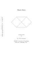 townsend p.k. black holes