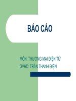 báo cáo thương mại điện tử