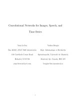 convolutional networks for images  speech  and handbook-convo