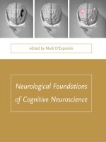 neurological foundations of cognitive neuroscience - mark d'esposito