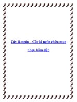 Cây lá ngón – Cây lá ngón chữa mụn nhọt, bầm dập pdf