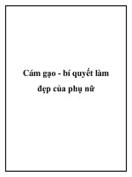 Cám gạo - bí quyết làm đẹp của phụ nữ doc