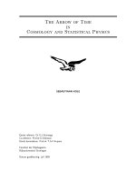 kole s. the arrow of time in cosmology and statistical physics 