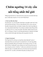 Chiêm ngưỡng 14 cây cầu nổi tiếng nhất thế giới pdf