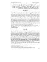 MÔ PHỎNG XÂM NHẬP MẶN ĐỒNG BẰNG SÔNG CỬU LONG DƯỚI TÁC ĐỘNG MỰC NƯỚC BIỂN DÂNG VÀ SỰ SUY GIẢM LƯU LƯỢNG TỪ THƯỢNG NGUỒN potx