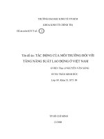 Tác động của môi trường đối với kinh tế việt nam
