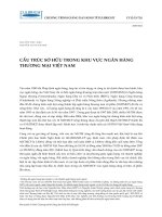 cấu trúc sỡ hữu trong hệ thống ngân hàng