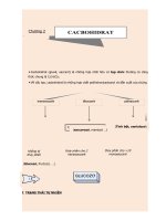 Hóa học 12 - Lí Thuyết Glucid