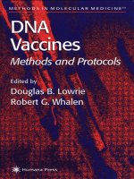 dna vaccines, methods and protocols