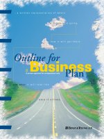 Outline for a business plan