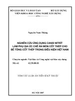 Nghiên cứu ứng dụng Canxi Nitrít làm phụ gia ức chế ăn mòn cốt thép cho bê tông cốt thép trong điều kiện Việt Nam