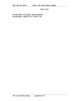 Vốn lưu động và các giải pháp tài chính nhằm nâng cao hiệu quả tổ chức sử dụng vốn lưu động tại công ty cổ phần cao su Sao Vàng