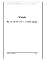 Tiểu luận: Lý thuyết cấu trúc vốn doanh nghiệp