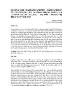 BỔ SUNG MỘT LOÀI XÂM CÁNH MỚI – XÂM CÁNH BẾN EN GLYPTOPETALUM SCLEROCARPUM (KURZ) M.A LAWSON (CELASTRACEAE – HỌ DÂY GỐI)CHO HỆ THỰC VẬT VIỆT NAM potx