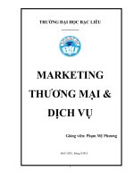 MARKETING THƯƠNG MẠI & DỊCH VỤ ppt
