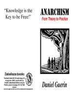 philosophy - anarchism - from theory to practice
