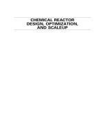 chemical reactor design, optimization, and scaleup