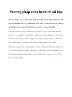 Phương pháp chữa bệnh từ cải bắp docx