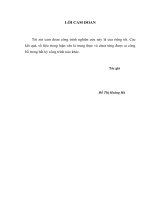 nghiên cứu nồng độ một số hormon sinh sản ở phụ nữ vô sinh tại thành phố hải phòng