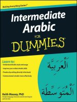08 intermediate arabic for dummies