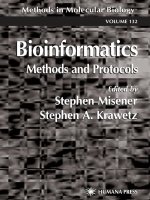 bioinformatics methods and protocols