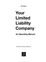 your limited liability company, an operating manual 5th (2007)