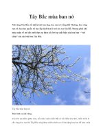 Tây Bắc mùa ban nở doc